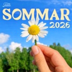 SOMMAR 2026 🌼🍹