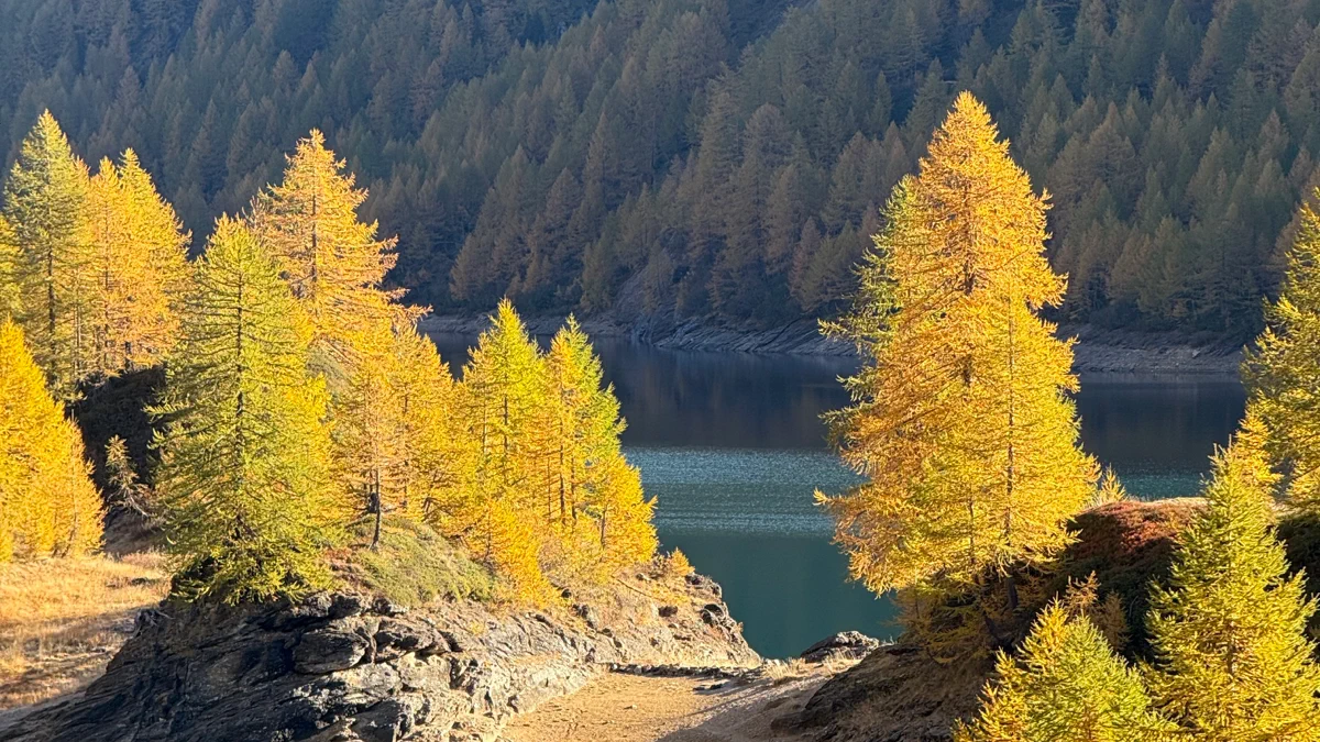 Hiking and Skiing - PeakVisor search result, In-app event: Golden Autumn Heights