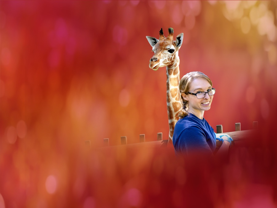 Secrets of the Zoo North Carolina Apple TV (MX)