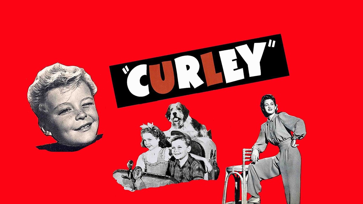 ‎Curley - Apple TV