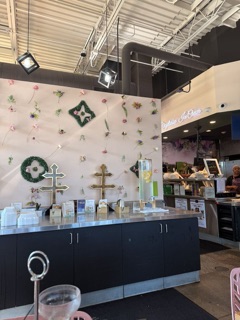 Soul Vibez Photos