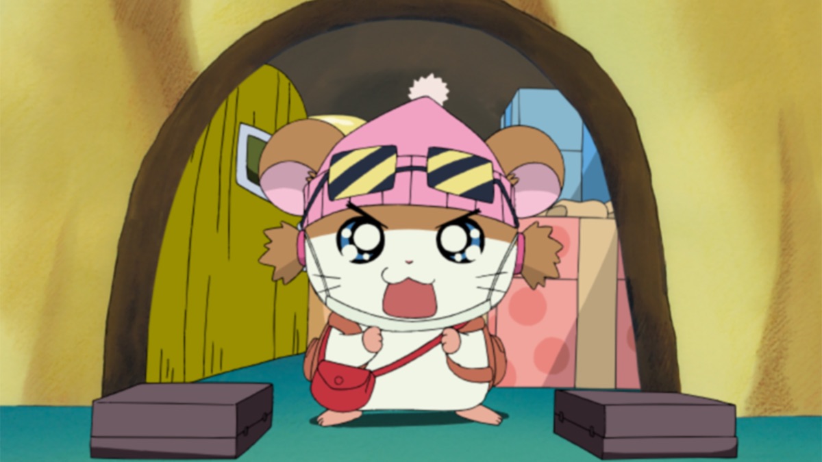 hamtaro-with free shipping on AliExpress, image size:1200x675