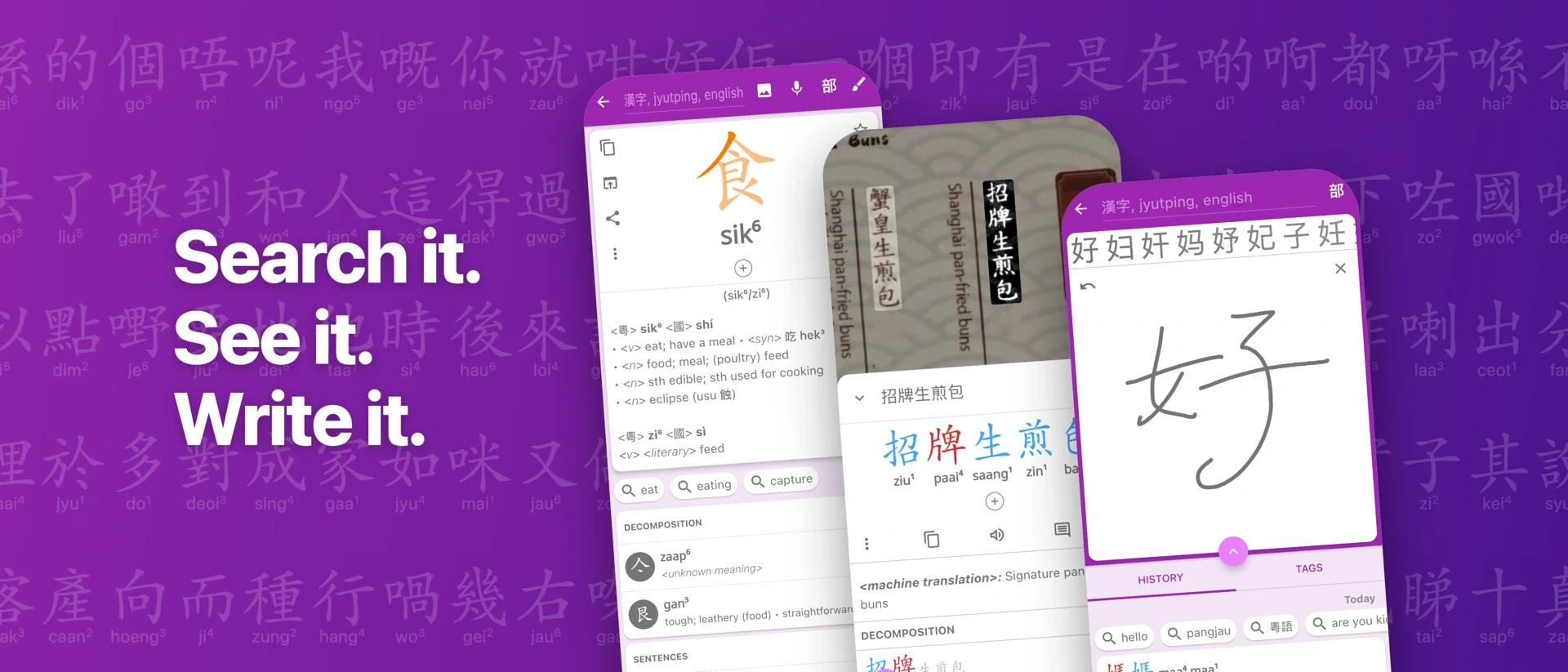 Hanping Cantonese Dictionary product page header