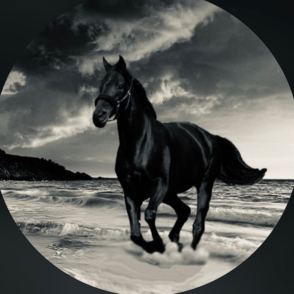 AppleMusic profile picture for @mrrex