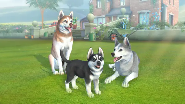 Pocket Paws Graduates