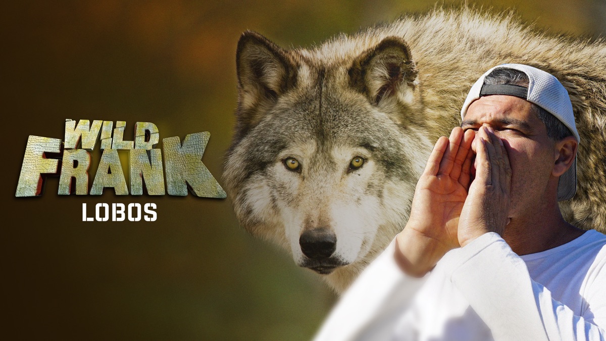 ‎Wild Frank: Lobos - Apple TV