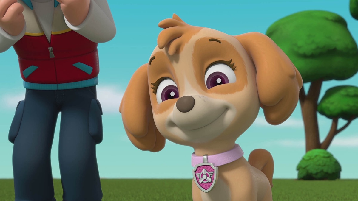 Pups Take in a Runaway Kitty / Pups Save the Cheese Goat - PAW Patrol ...