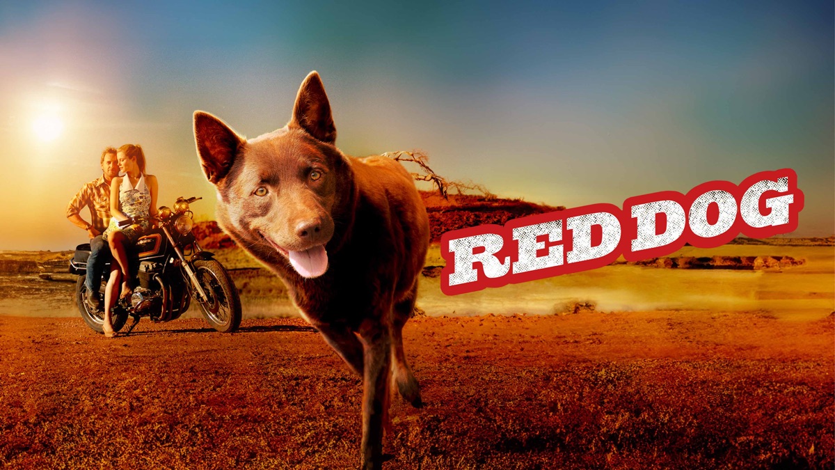 ‎Red Dog - Apple TV