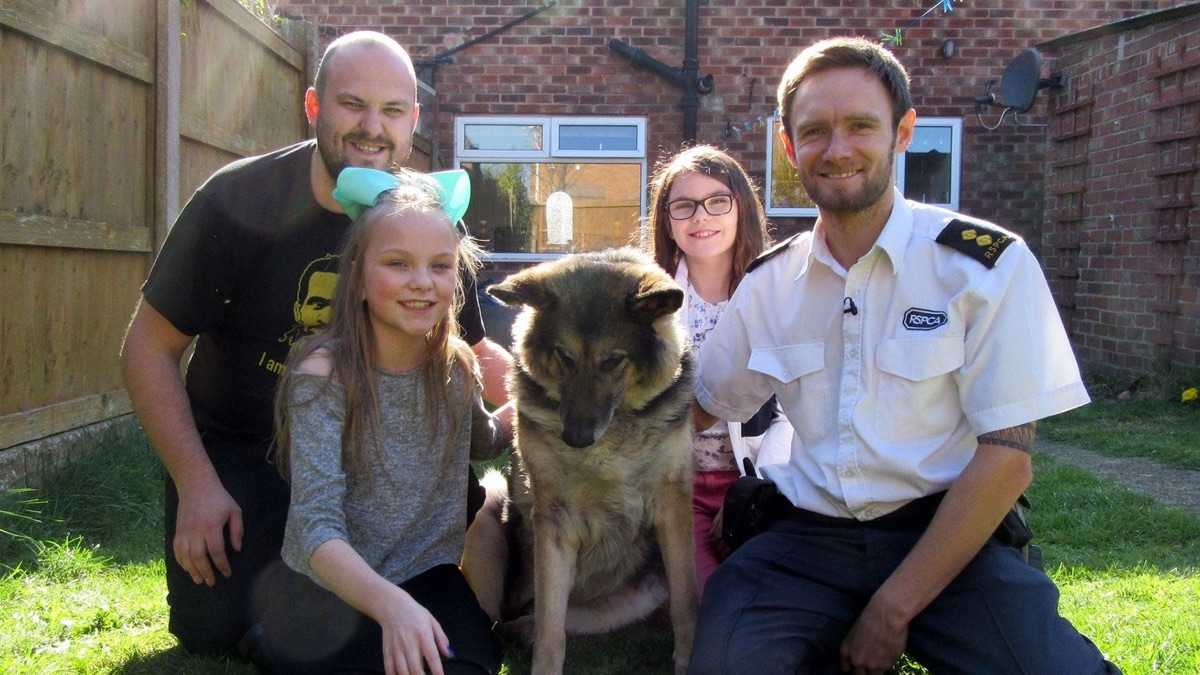 ‎The Dog Rescuers – Dog Rescuers (Season 5, Episode 8) - Apple TV (CA)