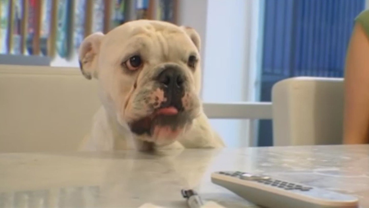 What Happened To Meaty From Rob And Big? Shocking Update Revealed