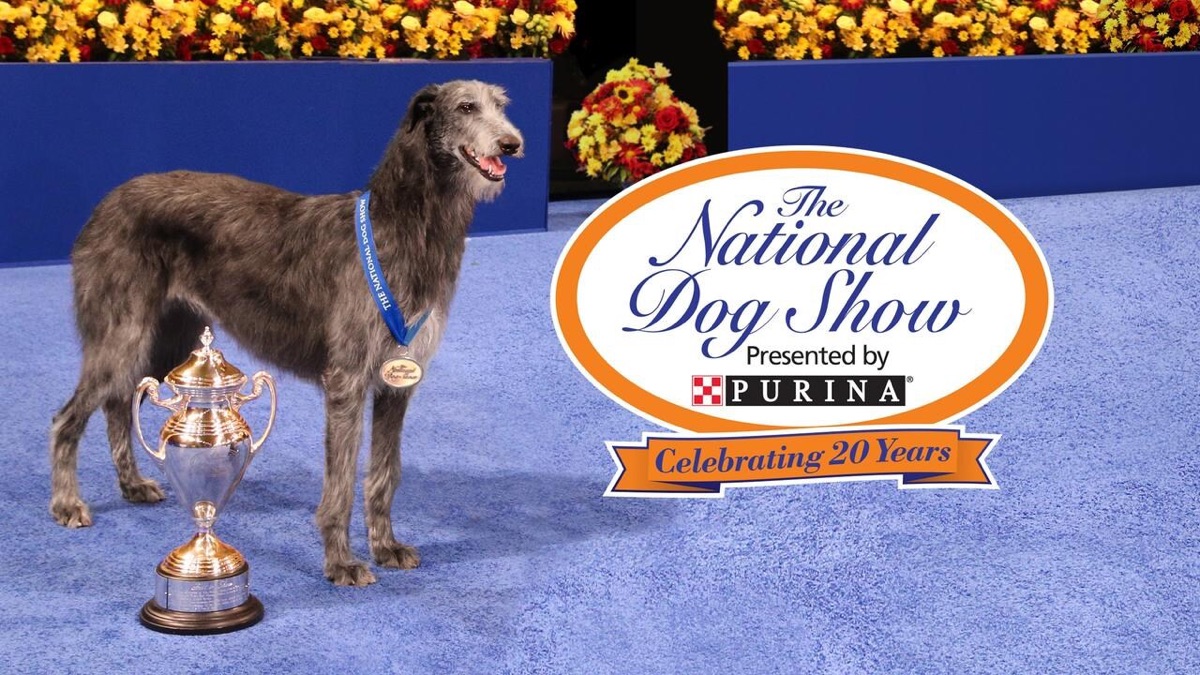 2021 The National Dog Show (Season 1, Episode 14) Apple TV