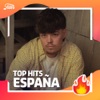 Exitos España 2025 : Top Hits España - Spain