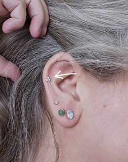 Apricity Piercing photo 3
