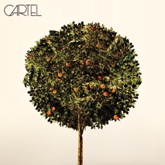 Cartel (Bonus Track Version)