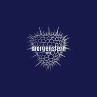 Eye — Morgenstern