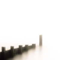 Last Days - The Safest Place