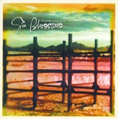 Outside Looking In: The Best of the Gin Blossoms, 1999