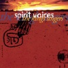James Levine Everybody's Gotta Learn Sometime Spirit Voices
