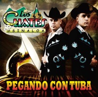 Pegando Con Tuba - Los Cuates de Sinaloa
