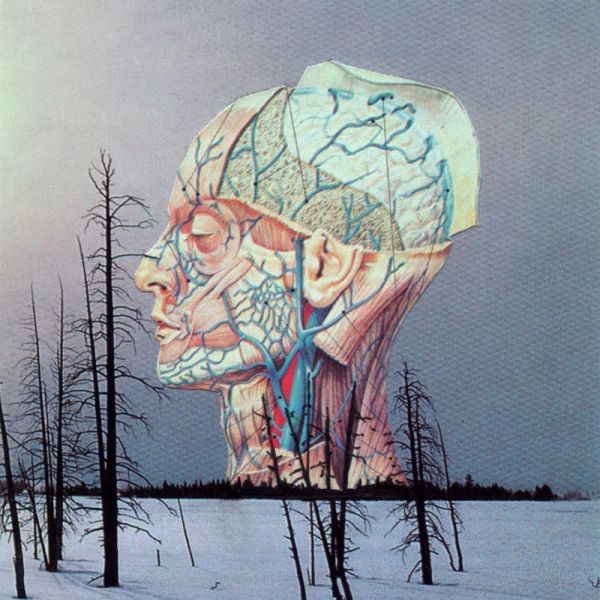 Songs for a Dead Pilot - EP