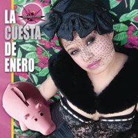 La Cuesta de Enero - Single - Amandititita