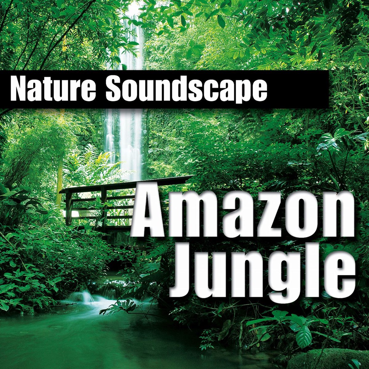 ‎Amazon Jungle (Nature Sounds Only) - Album by Nature Sounds - Apple Music