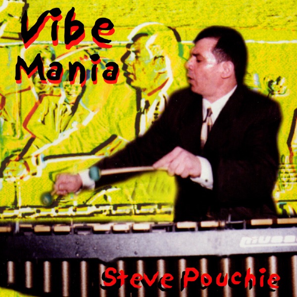 Cover of Vibe Mania