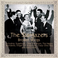 The Stargazers - Broken Wings