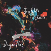 Dragonflies (Cantoma Remix) [feat. Kirsty Keatch]