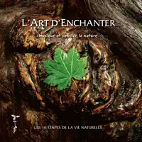La Danse Des Elfes — Nicolas Jeandot