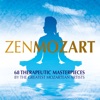 Paul Rouger Vorrei Spiegarvi oh Dio - I Would Like to Explain My Anguish Zen Mozart