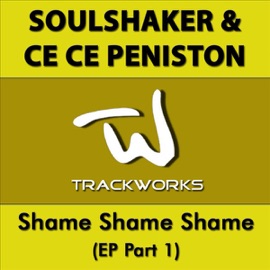 Shame Shame Shame (Soulshaker 07 Radio Edit) Soulshaker & Ce Ce Peniston