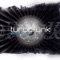 Turbofunk - 322 - Gotta Move