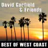 David Garfield - The One With a Broken Heart