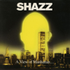 A View of Manhattan - Shazz new Single