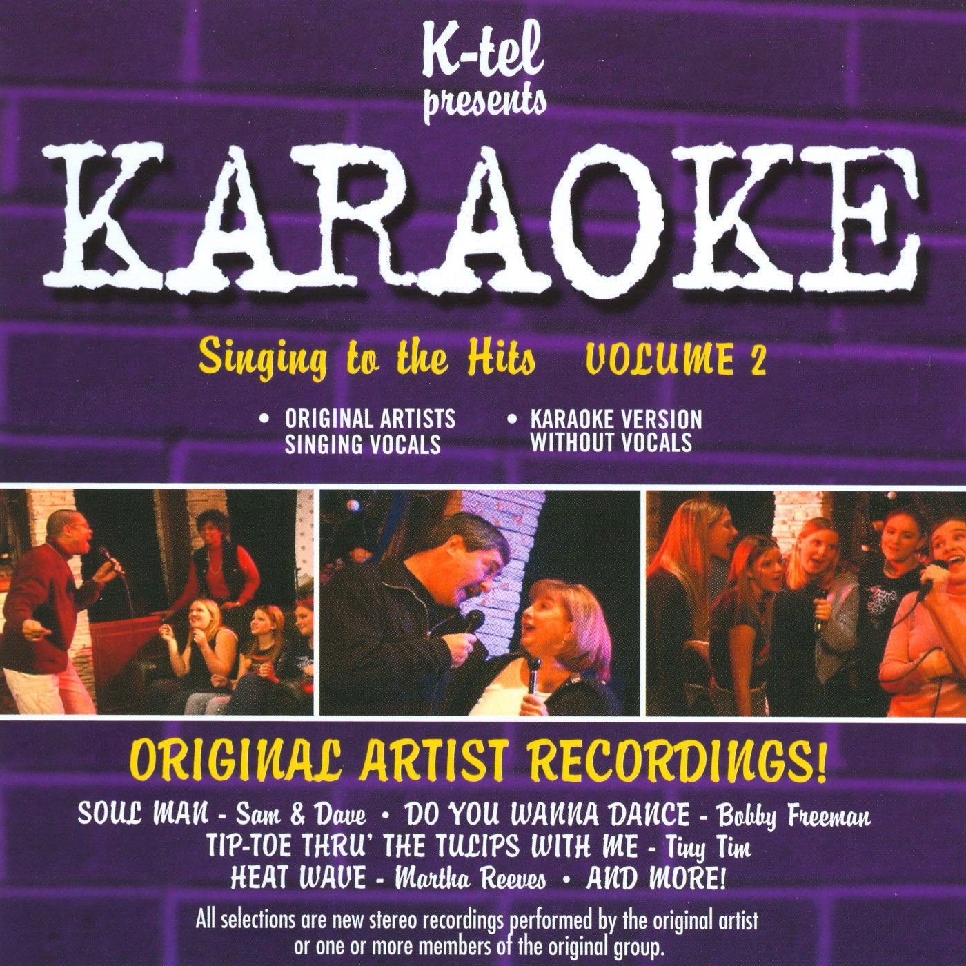Karaoke - Singing to the Hits, Vol. 2 (Rerecorded Version)