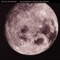 Alvin Lucier (Remix) - CM von Hausswolf lyrics