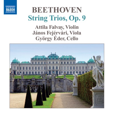 Beethoven, L. Van: String Trios (Complete), Vol. 1 - Op. 9