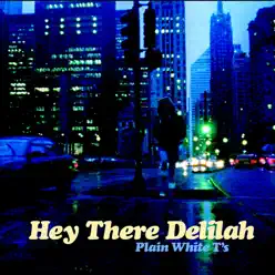Hey There Delilah - EP - Plain White T's