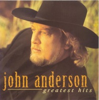 Seminole Wind - John Anderson