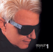 Cover art for Wir lieben die Stürme by Heino