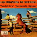 DOS MARES DE LAGRIMAS