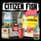 Better - Citizen Fish lyrics