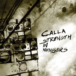 Strength In Numbers - Calla