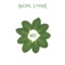 The Dreamer - Rachel Loshak lyrics
