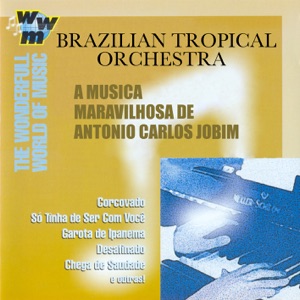 Brazilian Tropical Orchestra: The Wonderful World of Music