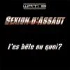 Sexion d'Assaut - T'es Bête ou Quoi ?
