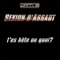 T'es bête ou quoi_