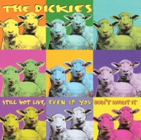 "Nights In White Satin"