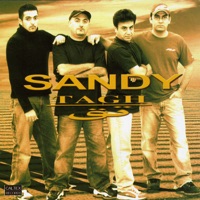 Album cover for Shiva by Sandy